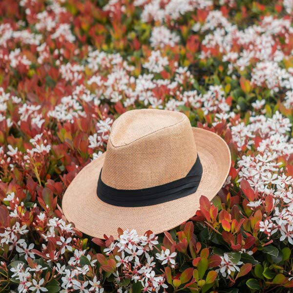 Jeanne Simmons - Toyo Large Brim Fedora - Image 10